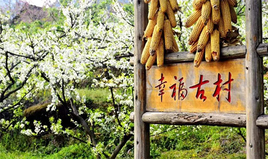 眉山丹棱幸福古村——中國美麗鄉村典範