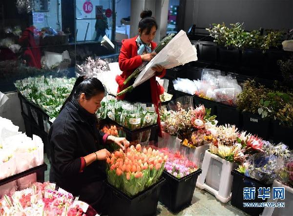 “空中絲路”架金橋 荷蘭鬱金香綻放中國牡丹之鄉