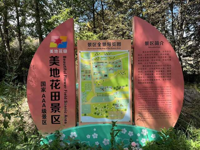 外國網紅走進青海貴德 看這個青藏高原上的花田農場如何擦亮生態底色_fororder_微信圖片_20240827153102