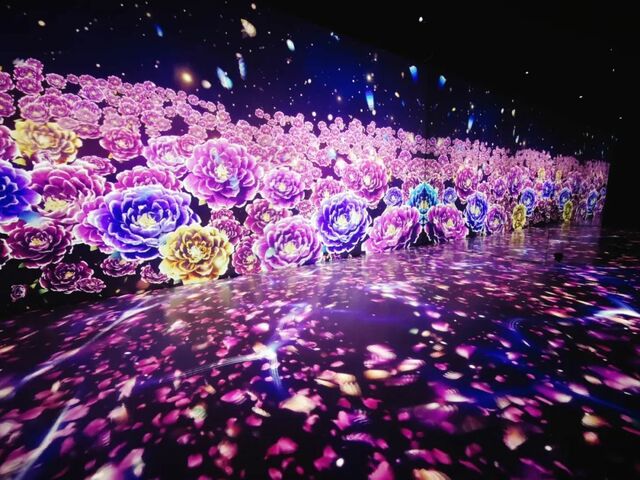 洛陽，越夜越“中”！