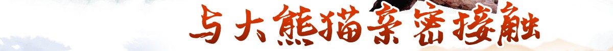 外媒暢遊碧峰峽 與大熊貓親密接觸_fororder_微信圖片_20191128085143