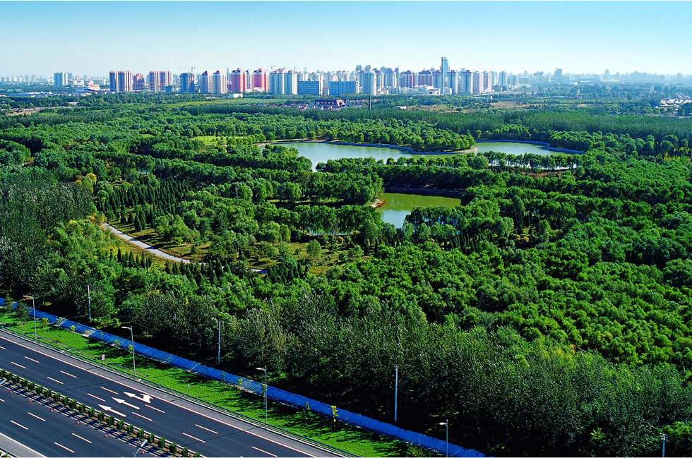 圖片默認標題_fororder_奧林匹克森林公園