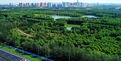 圖片默認標題