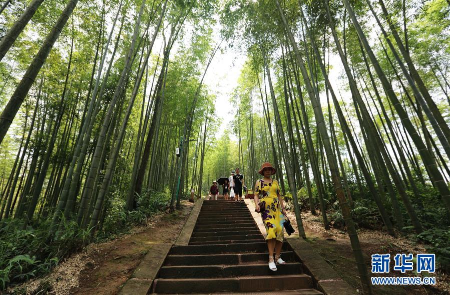 貴州赤水竹海醉遊人