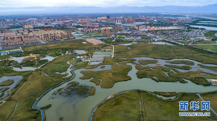 甘肅張掖國家濕地公園：戈壁水鄉似江南
