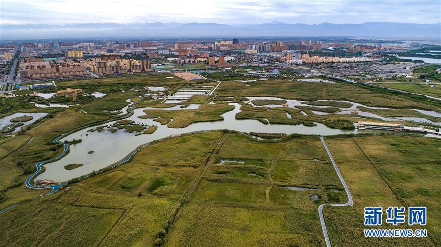 甘肅張掖國家濕地公園：戈壁水鄉似江南