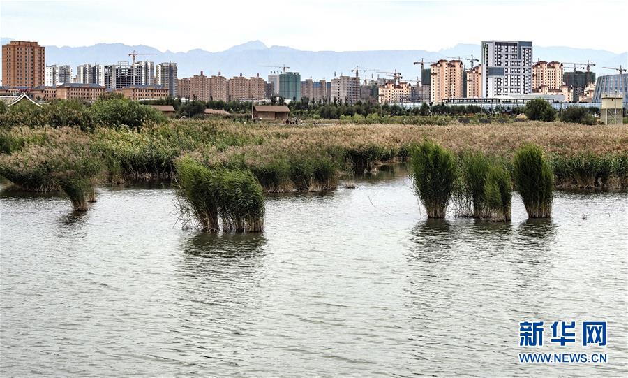 甘肅張掖國家濕地公園：戈壁水鄉似江南