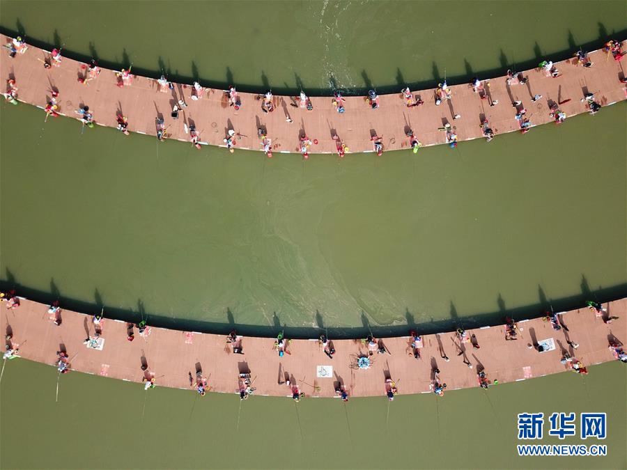 江蘇泗洪：濕地垂釣享樂趣