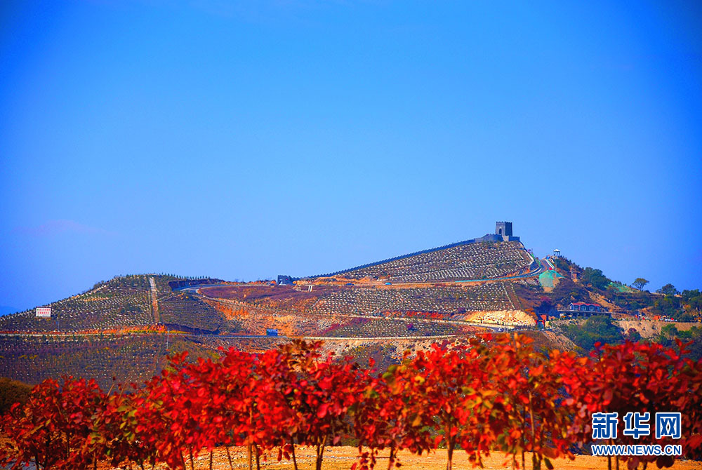 河北涉縣：莊子嶺遍山紅葉迎遊客