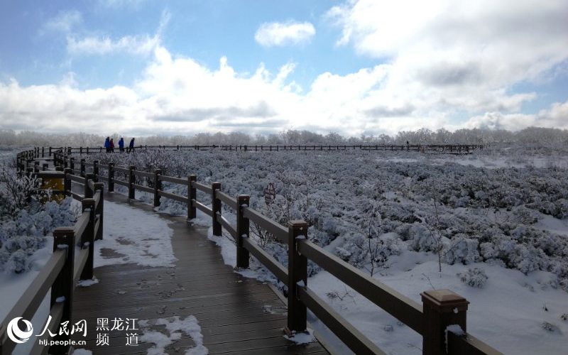 黑龍江鳳凰山國家森林公園現十里雪凇霧凇景觀