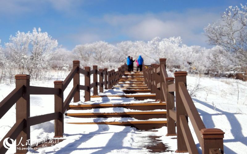 黑龍江鳳凰山國家森林公園現十里雪凇霧凇景觀