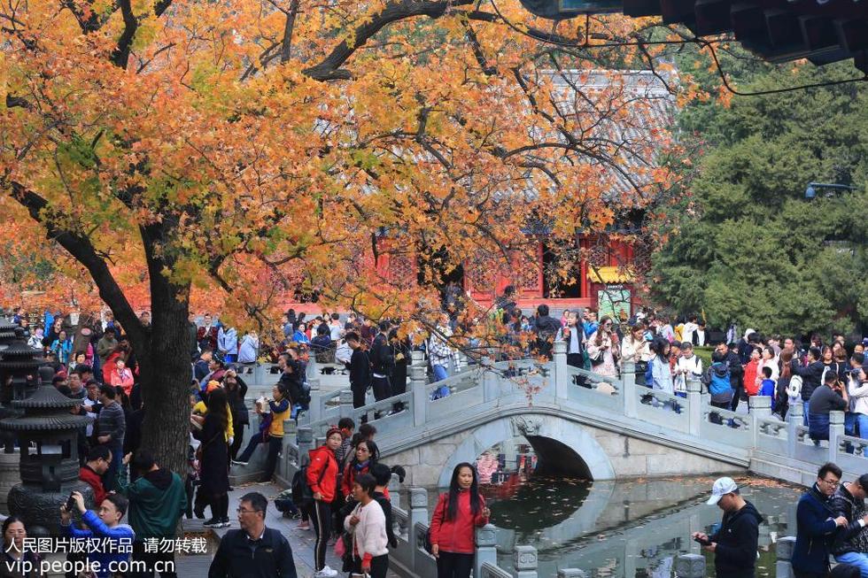 北京：香山金秋紅葉醉遊人