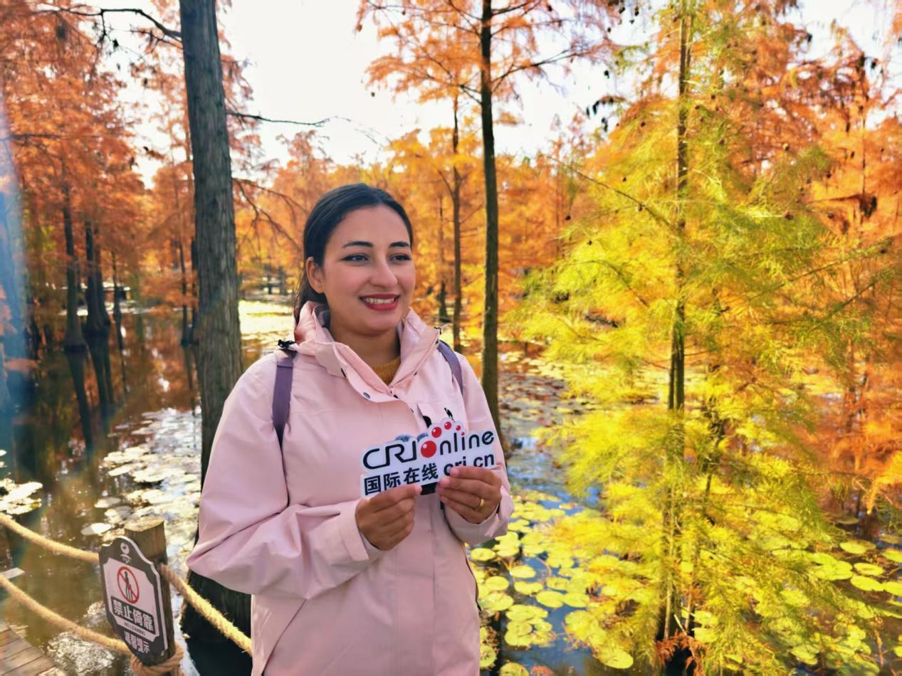 【2025打卡中國】從“百鳥天堂”池杉湖到“改革地標”小崗村 多國網紅博主被滁州圈粉!