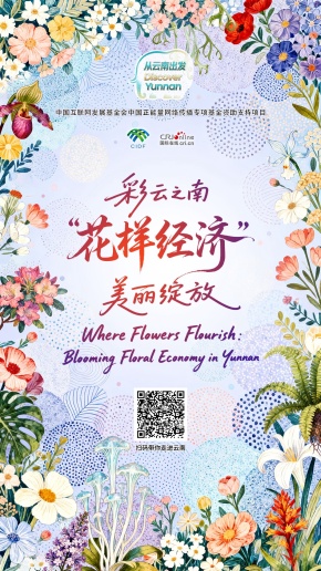 【從雲南出發】彩雲之南 “花樣經濟”美麗綻放（海報）