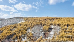 呼和浩特：草茂林豐的生態底色