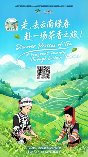 【瀾湄之窗】走，去雲南綠春赴一場茶香之旅！（海報）