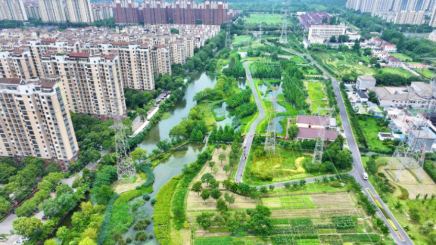 從城市“呼吸”到生態“溢價” 美麗江蘇逐綠而行