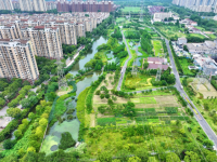 從城市“呼吸”到生態“溢價” 美麗江蘇逐綠而行