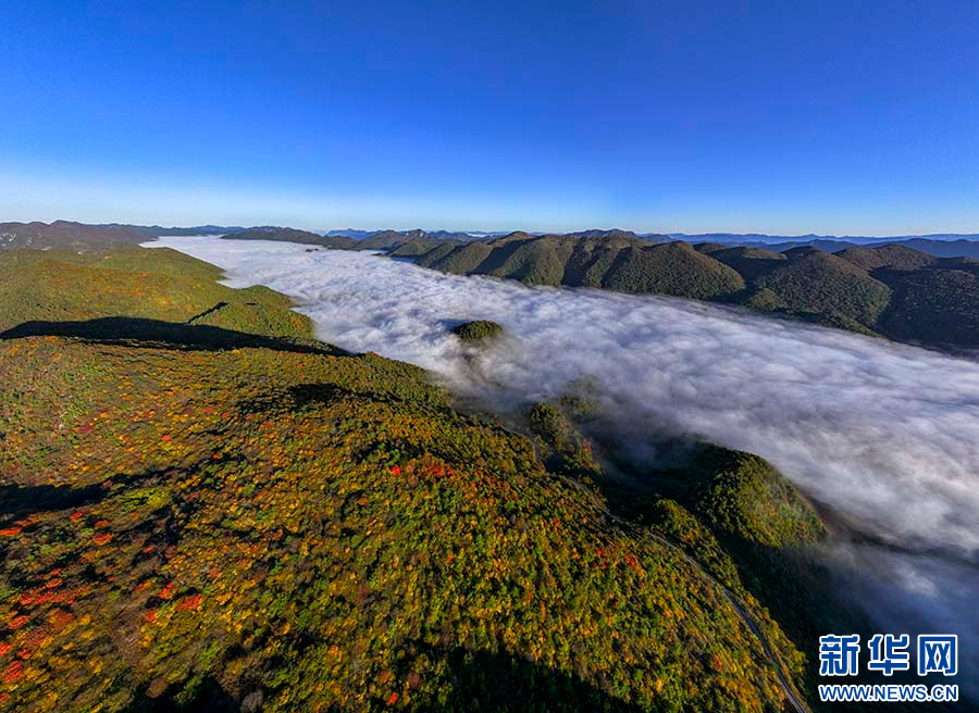 重慶巫溪：紅池壩迎來美麗秋色