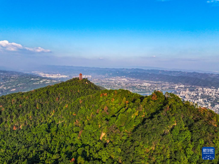 航拍重慶縉雲山國家級自然保護區