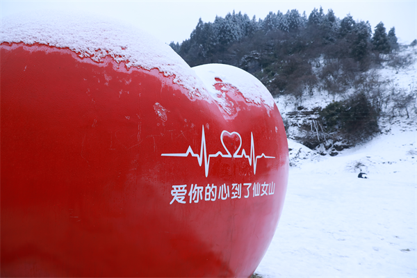 打卡重慶冰天雪地｜武隆仙女山：林海雪原成童話世界