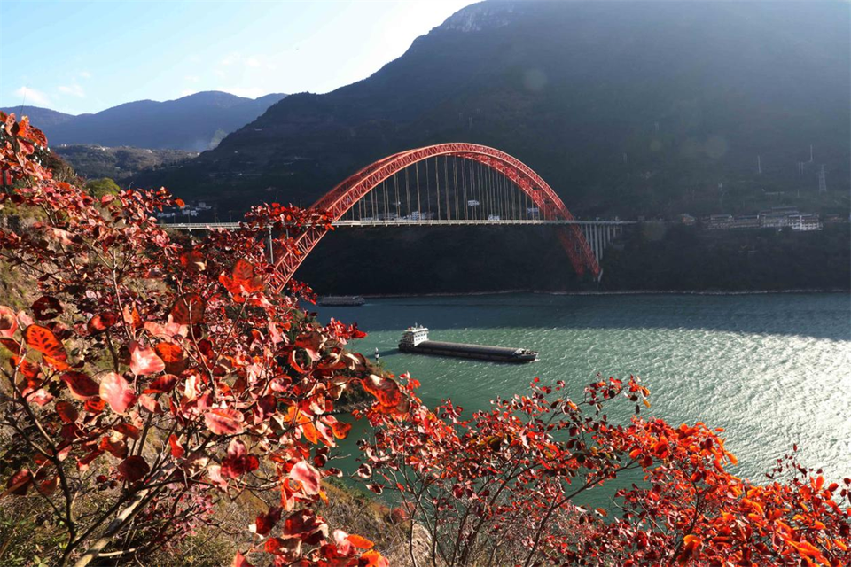 最美的秋丨重慶巫山紅葉紅了