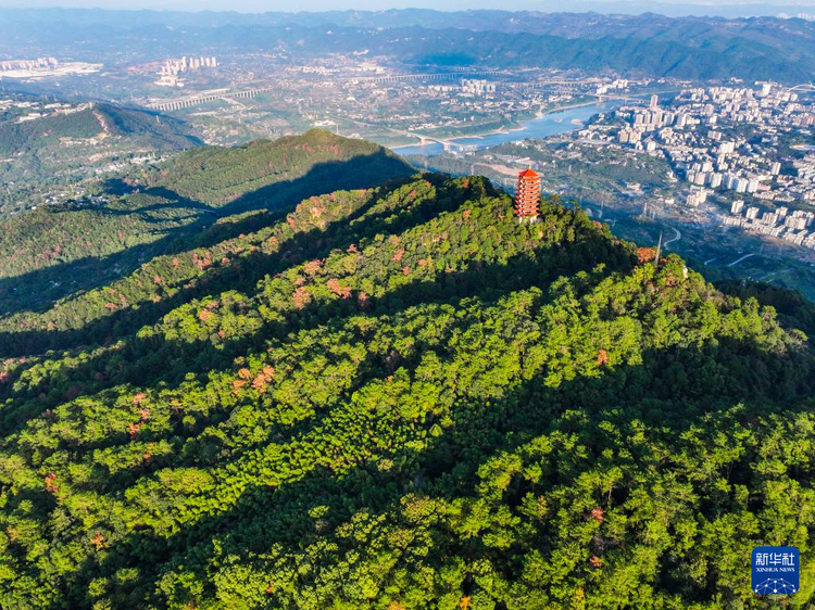 航拍重慶縉雲山國家級自然保護區