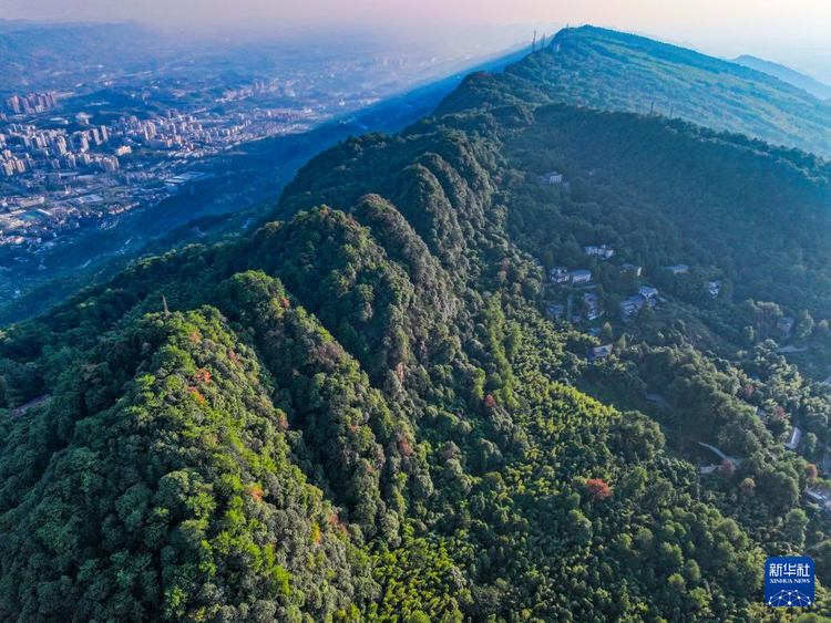 航拍重慶縉雲山國家級自然保護區