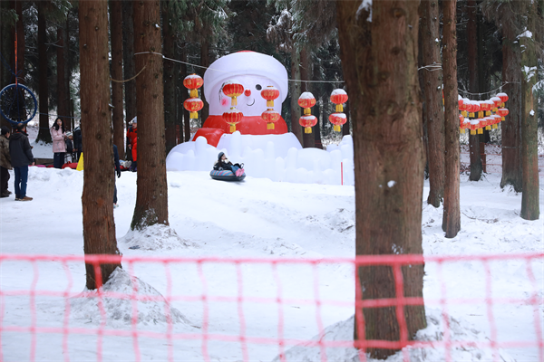 打卡重慶冰天雪地｜武隆仙女山：林海雪原成童話世界