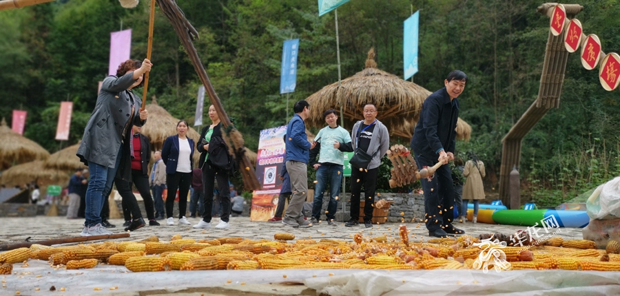 高清組圖|城口縣喜迎2020農民豐收節