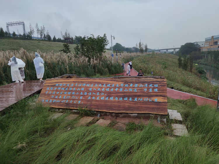 （有修改）2020全國重點網絡媒體重慶行丨污水變清泉 重慶九龍坡跳磴河完成華麗蛻變