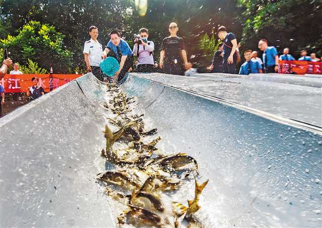 【要聞】重慶加快推動生態文明體制改革