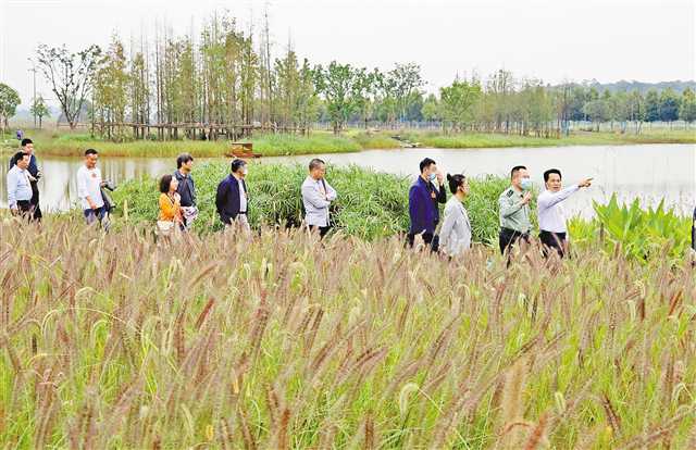 廣陽島16個重點項目大部分力爭年內開工