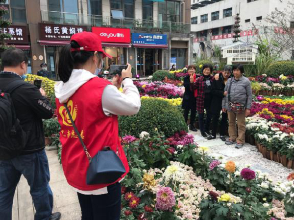 重慶巴南區：菊花展上“志願紅”成為“文明風景線”