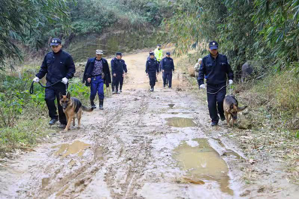 重慶永川民警歷經7小時 幫七旬村民尋回丟失母牛