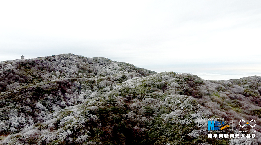 重慶：金佛山漫山霧凇如畫