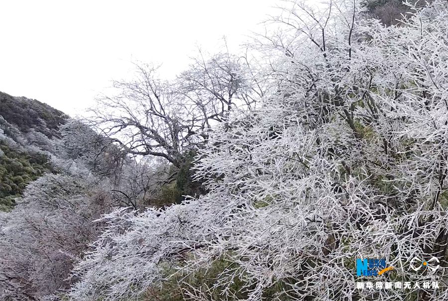 重慶：金佛山漫山霧凇如畫