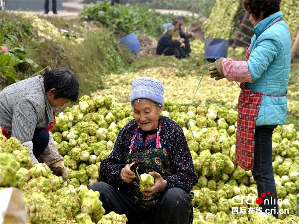 【CRI專稿 列表】重慶涪陵青年創業者彭榮貴：返鄉創業讓家人更踏實