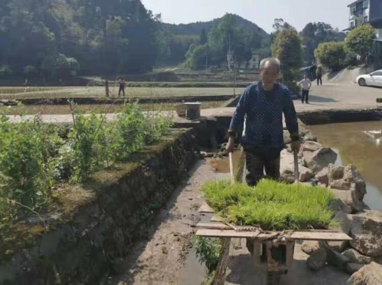 （有修改）【脫貧戶的新年願望】重慶巴南區脫貧戶李顯六：奮鬥不息 讓日子過得更好