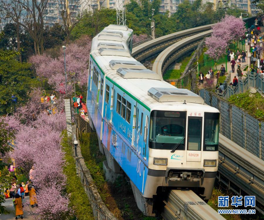 【城市遠洋】重慶：一路繁花相送 帶你駛向春天