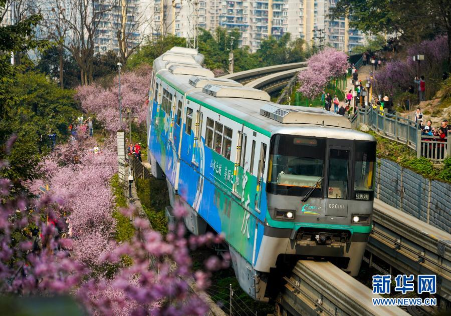 【城市遠洋】重慶：一路繁花相送 帶你駛向春天