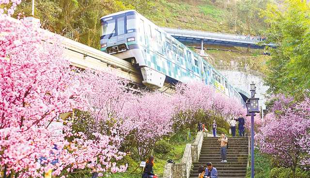 重慶“開往春天的列車”引爆網絡