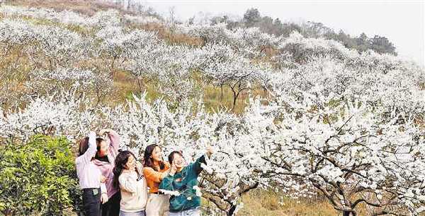 【城市遠洋帶圖】賞花 一定不要錯過這些地方