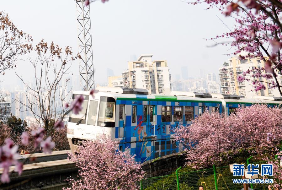 【城市遠洋】重慶：一路繁花相送 帶你駛向春天