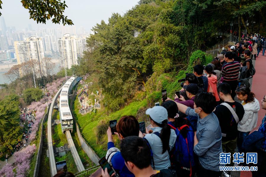 【城市遠洋】重慶：一路繁花相送 帶你駛向春天