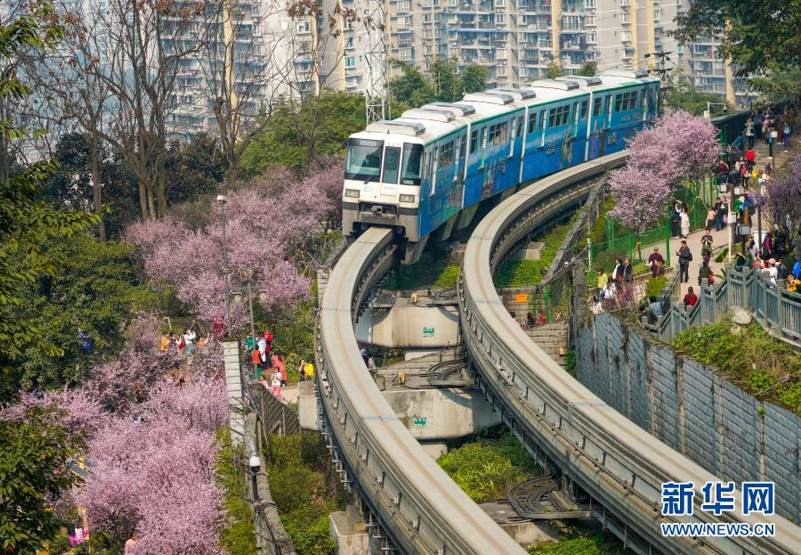 【城市遠洋】重慶：一路繁花相送 帶你駛向春天