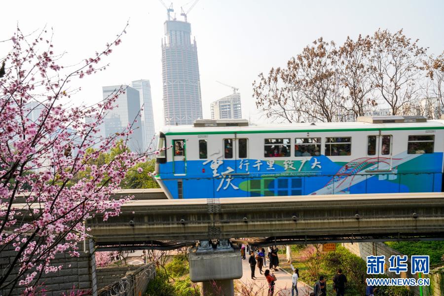 【城市遠洋】重慶：一路繁花相送 帶你駛向春天