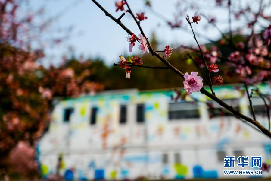 【城市遠洋】重慶：一路繁花相送 帶你駛向春天