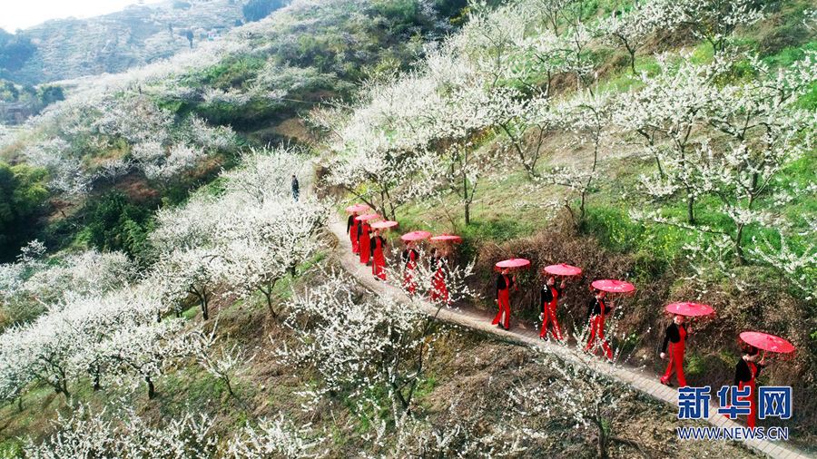 【城市遠洋】三月山城春光好 梁平賞花正當時