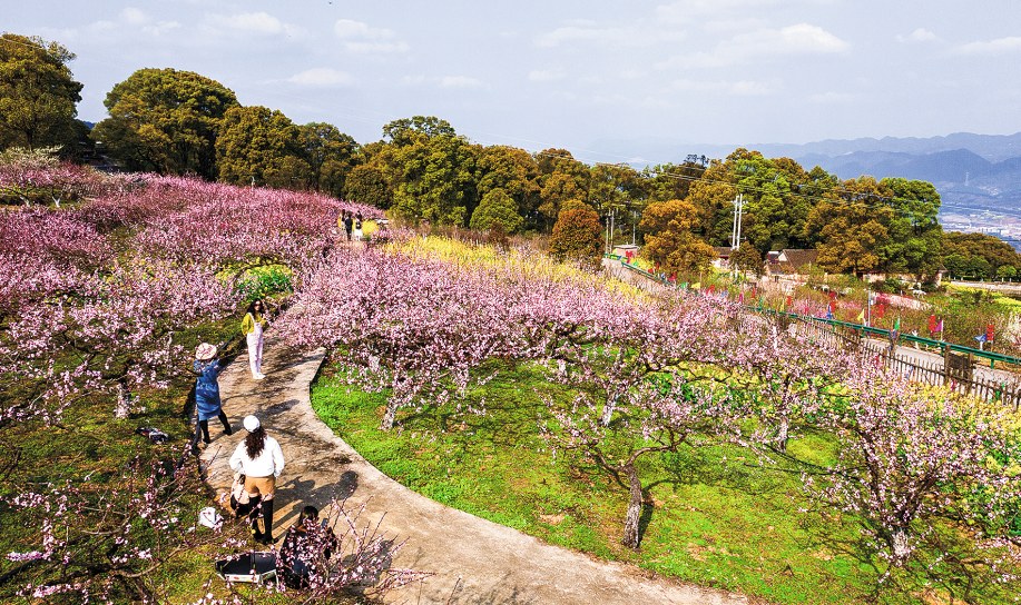 【城市遠洋帶圖】北碚：春光無限好 踏青賞花正當時